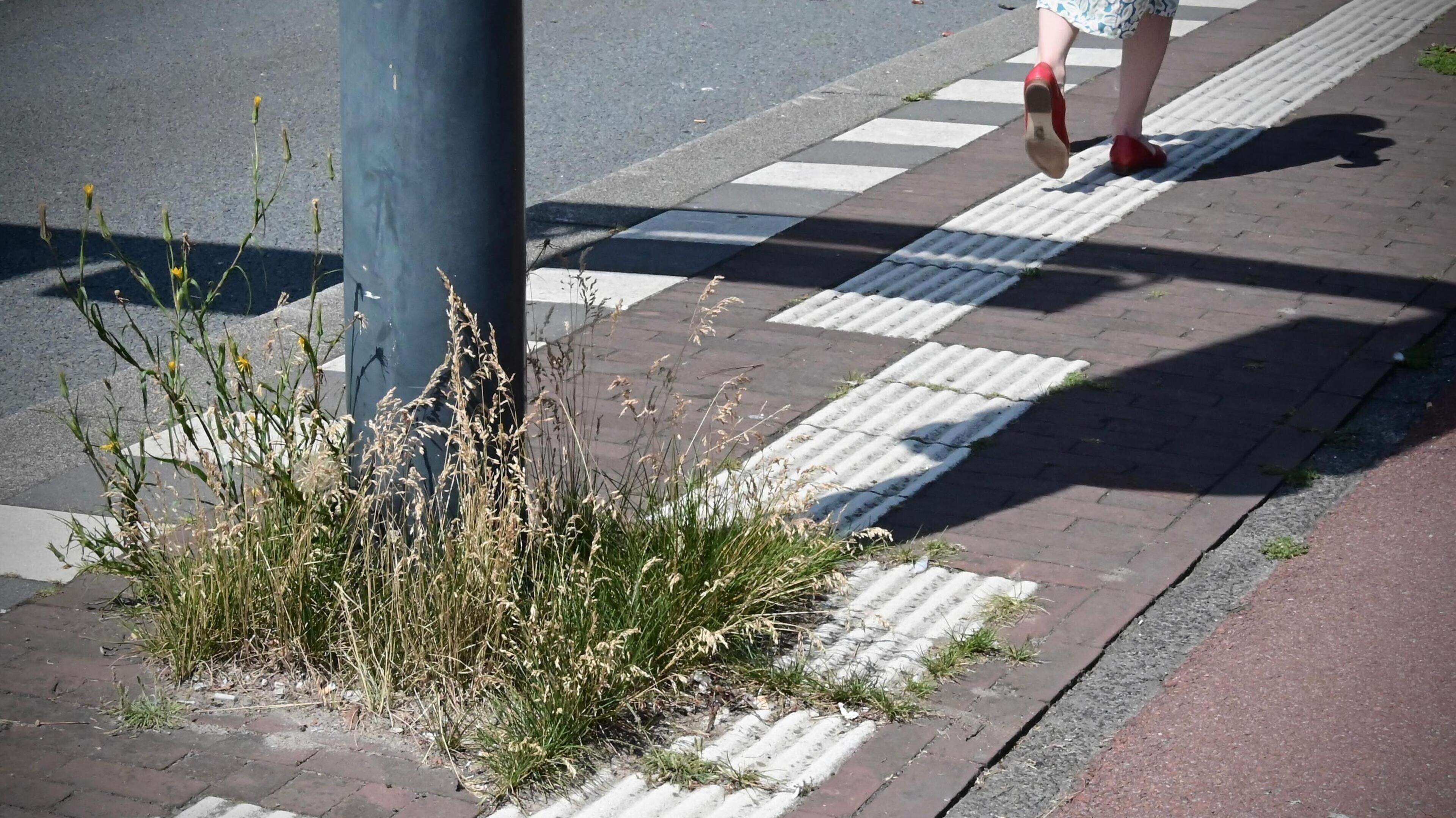 Amsterdamse bushalte lang niet zo toegankelijk als gemeente beweert